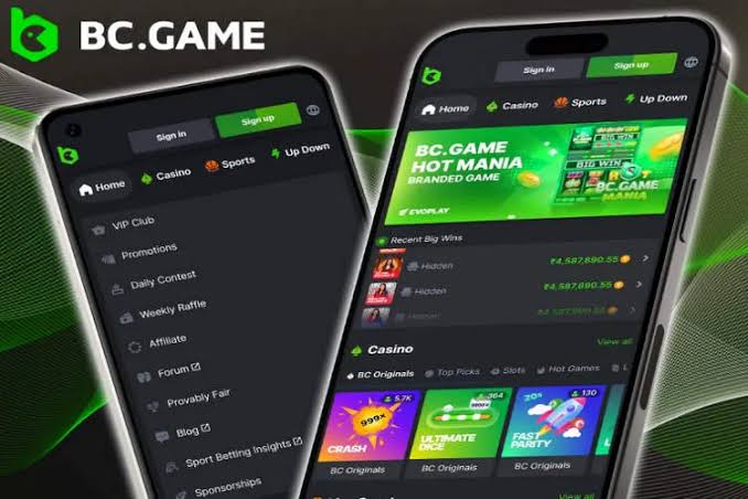 تجربة مميزة في BC.Game اون لاين في الامارات